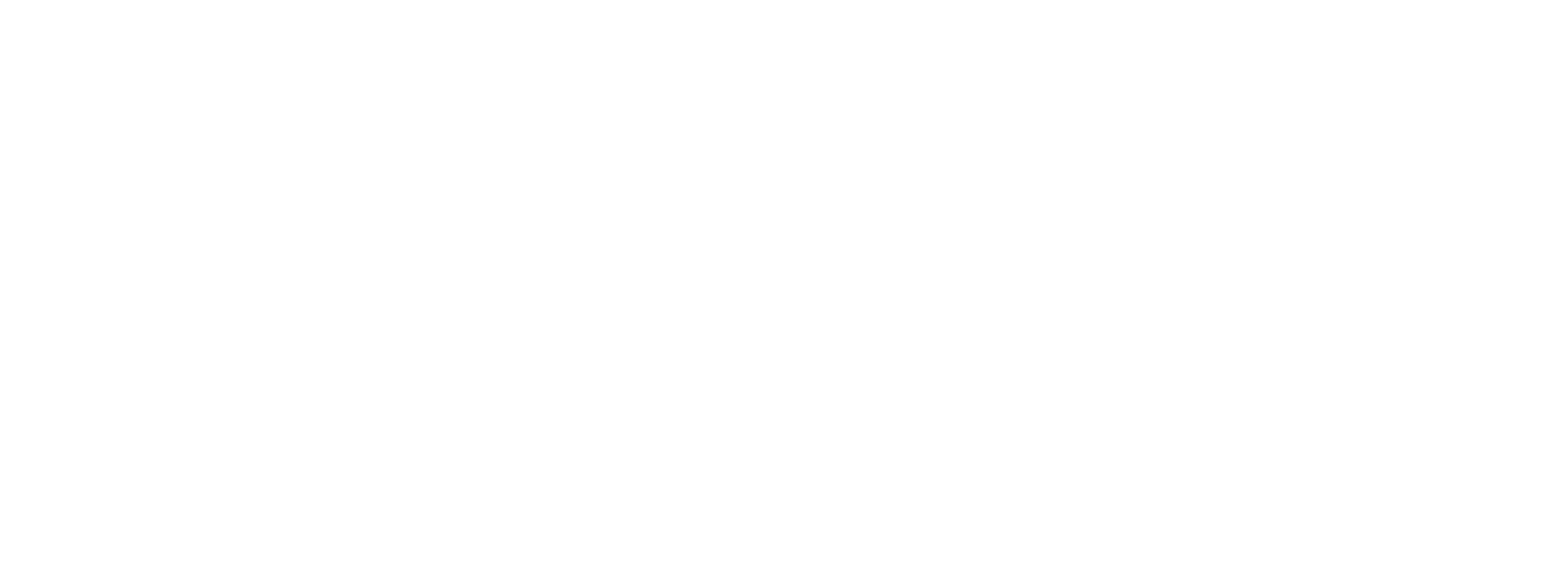 Website logo white